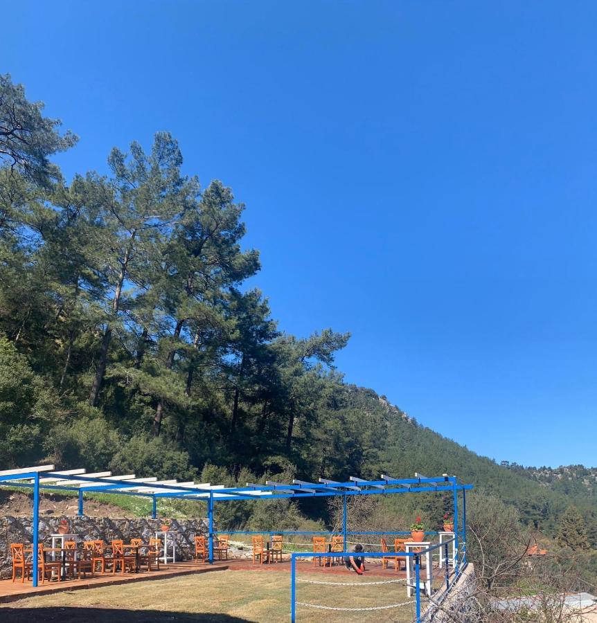 Alp Inn Villas Turunç Esterno foto