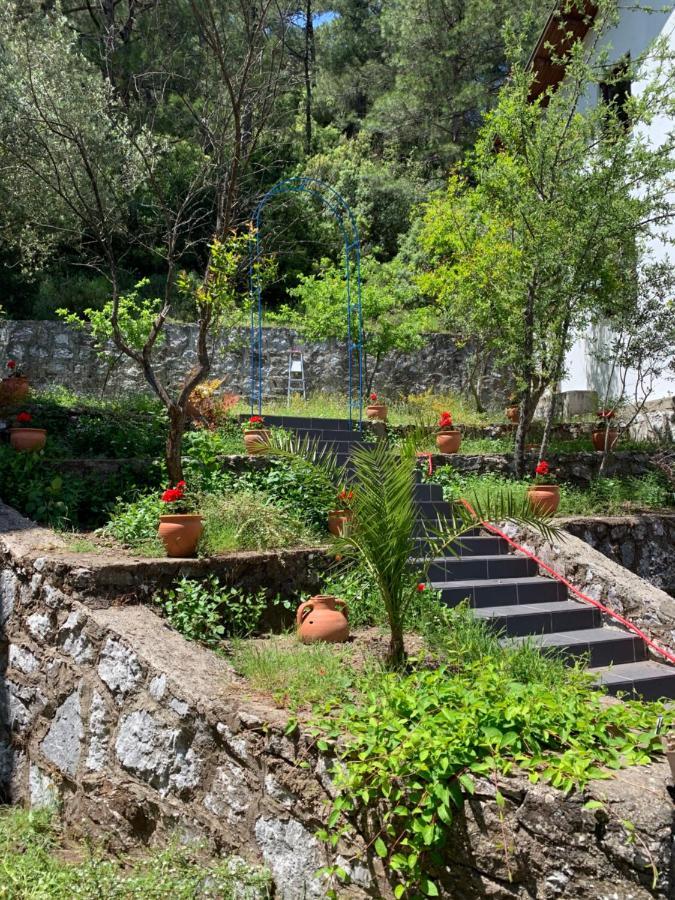 Alp Inn Villas Turunç Esterno foto