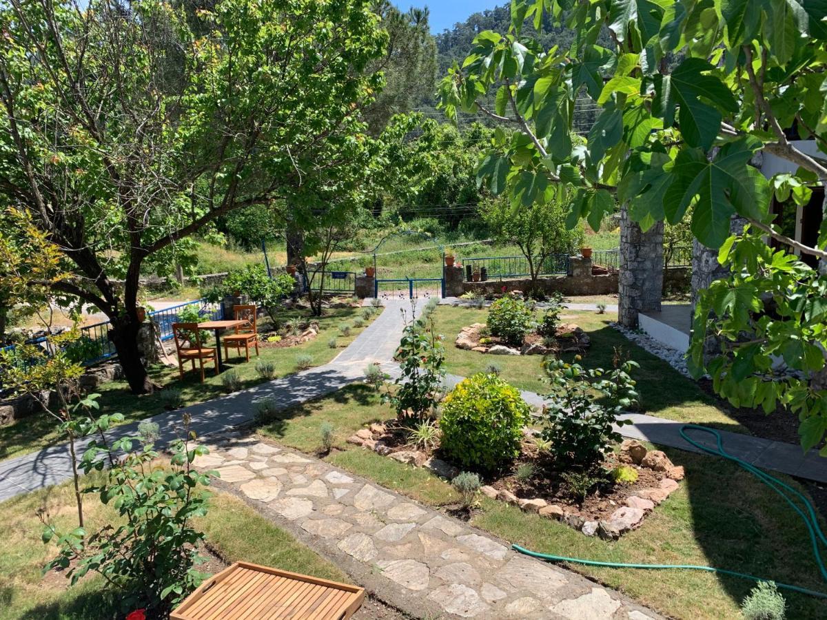 Alp Inn Villas Turunç Esterno foto